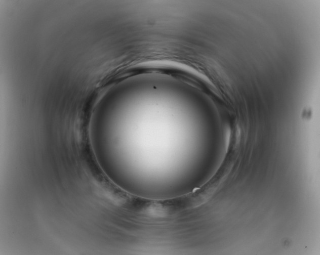 X0000092250416200709141152
