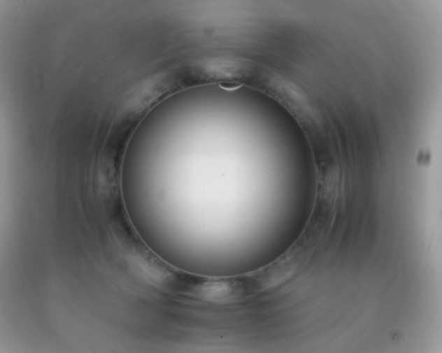 X0000092250418200709141152