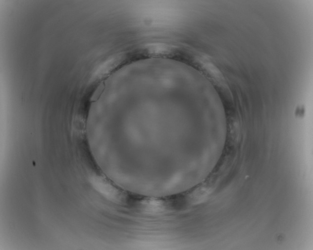 X0000092250419200709141152