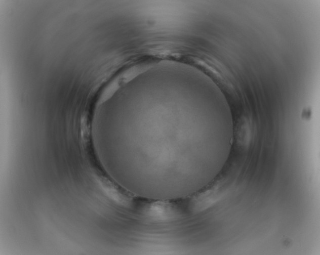 X0000092250420200709141152