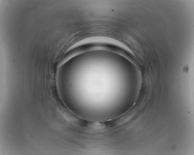 X0000092250421200709141152