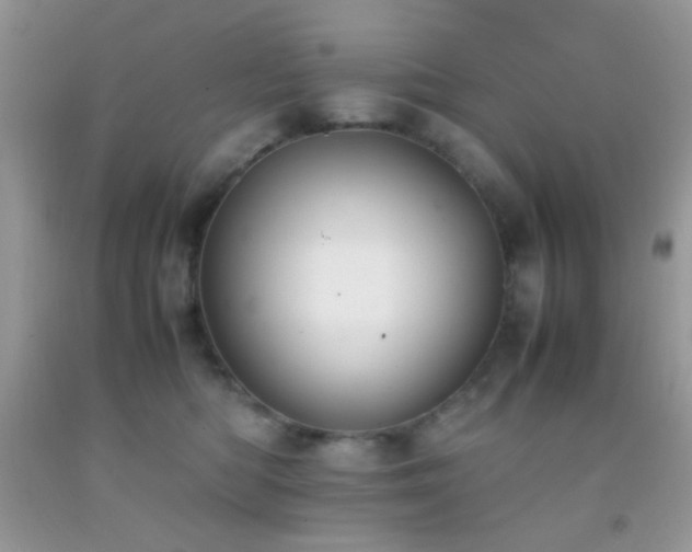 X0000092250422200709141152