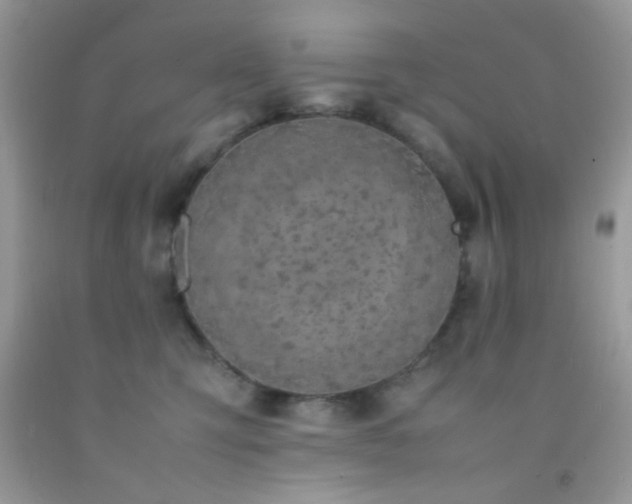 X0000092250423200709141152