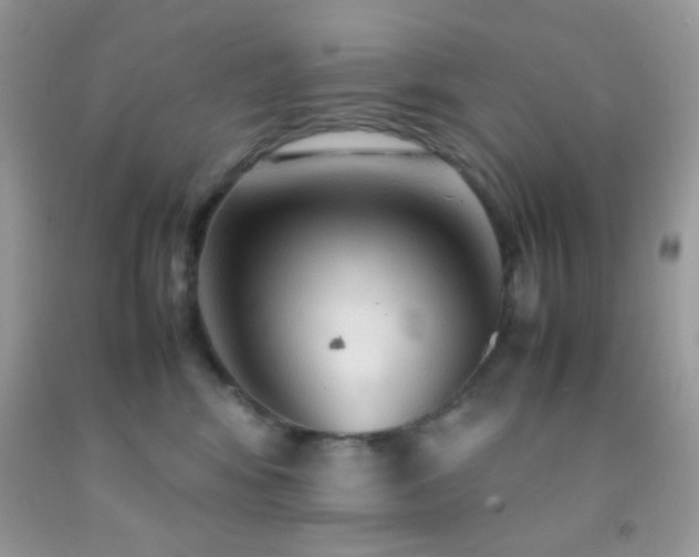 X0000092250424200709141152