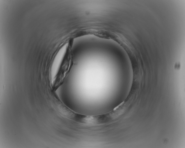 X0000092250425200709141152