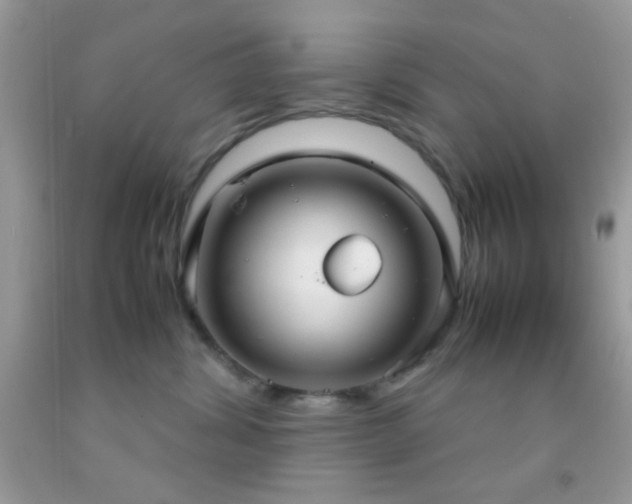 X0000092250428200709141152