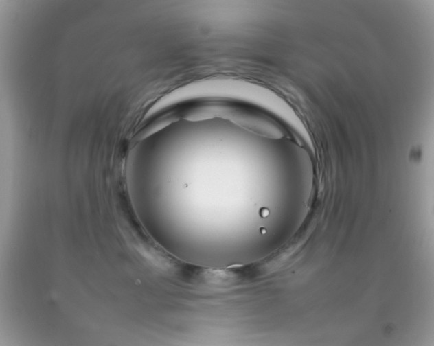 X0000092250429200709141152