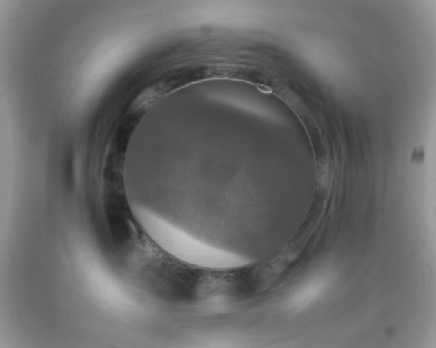 X0000092250431200709141152