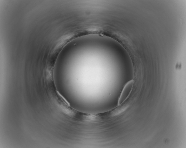 X0000092250432200709141152