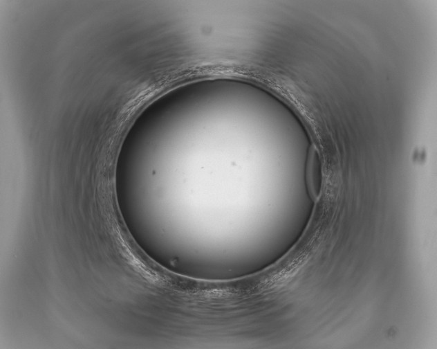 X0000092250433200709141151