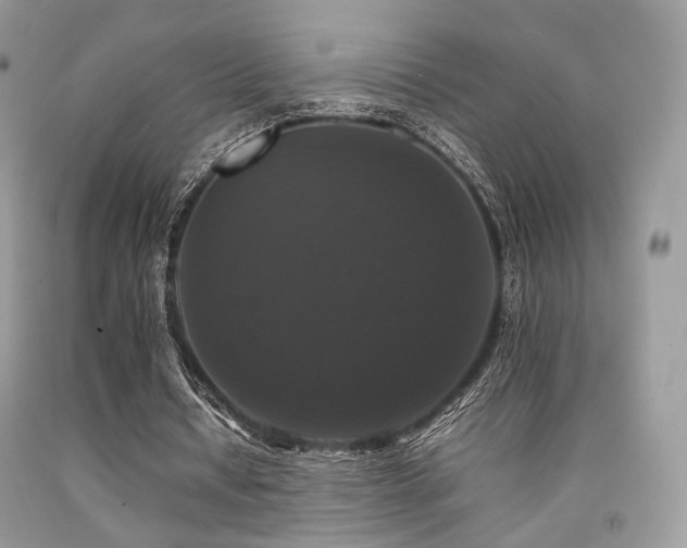 X0000092250434200709141151