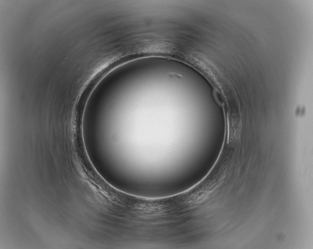 X0000092250435200709141151