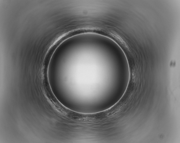X0000092250436200709141151