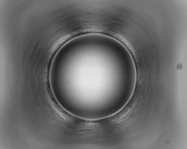 X0000092250437200709141151
