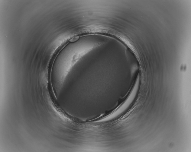 X0000092250438200709141151