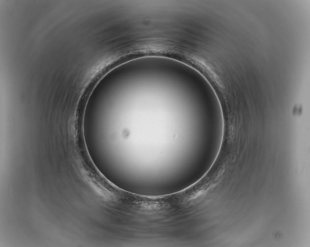 X0000092250439200709141151