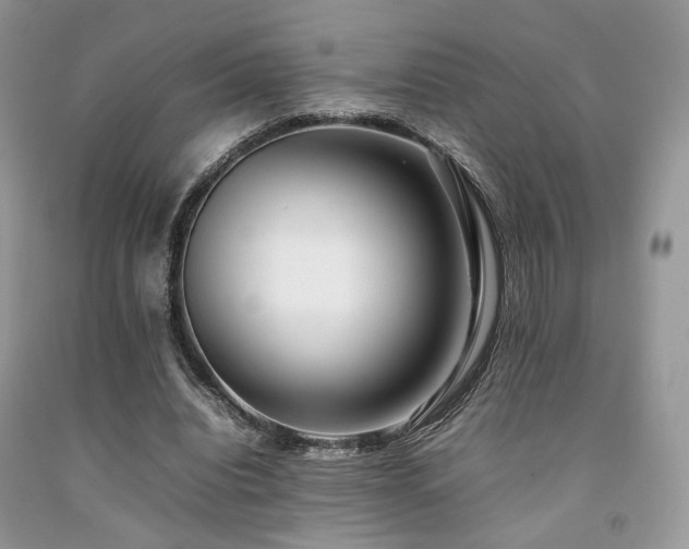 X0000092250440200709141151