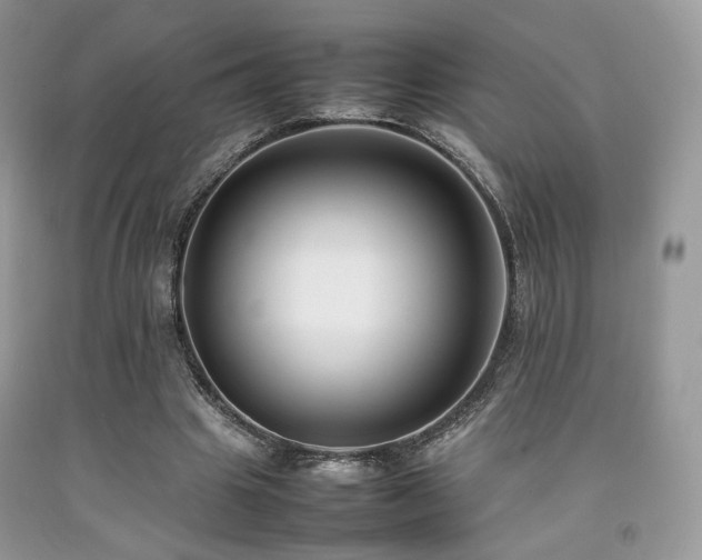 X0000092250441200709141151
