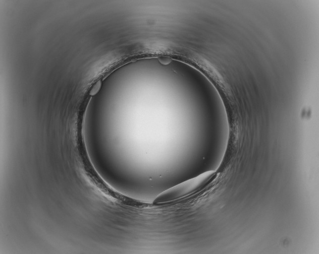 X0000092250442200709141151
