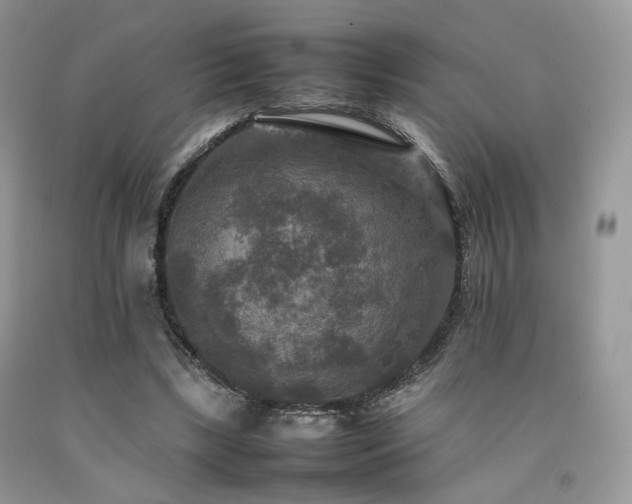 X0000092250443200709141151