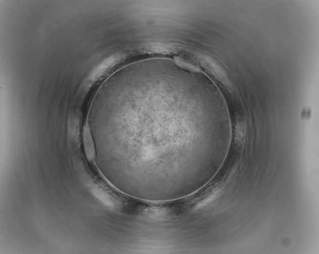 X0000092250444200709141151