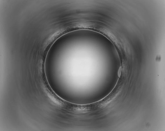 X0000092250445200709141151