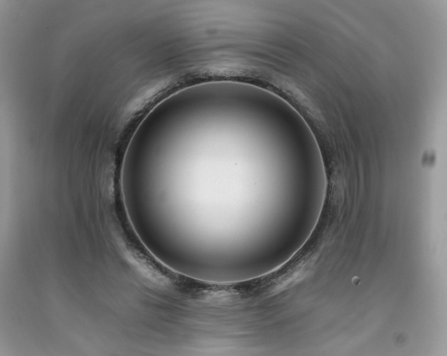 X0000092250446200709141151