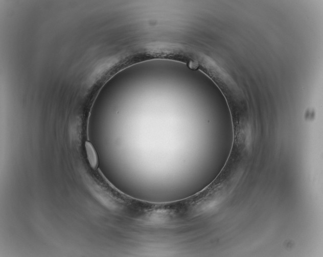 X0000092250448200709141151