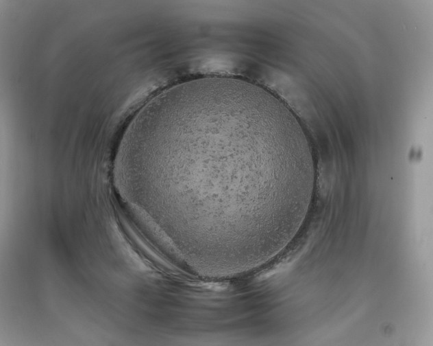 X0000092250449200709141151