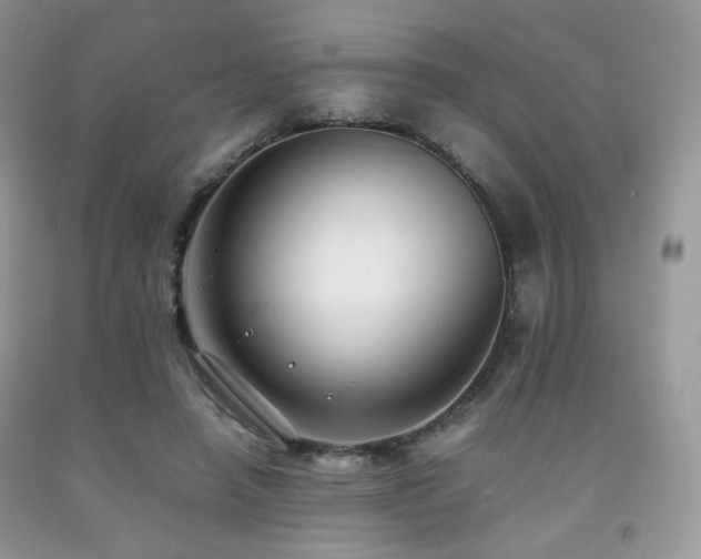 X0000092250450200709141151
