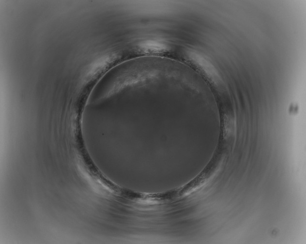 X0000092250451200709141151