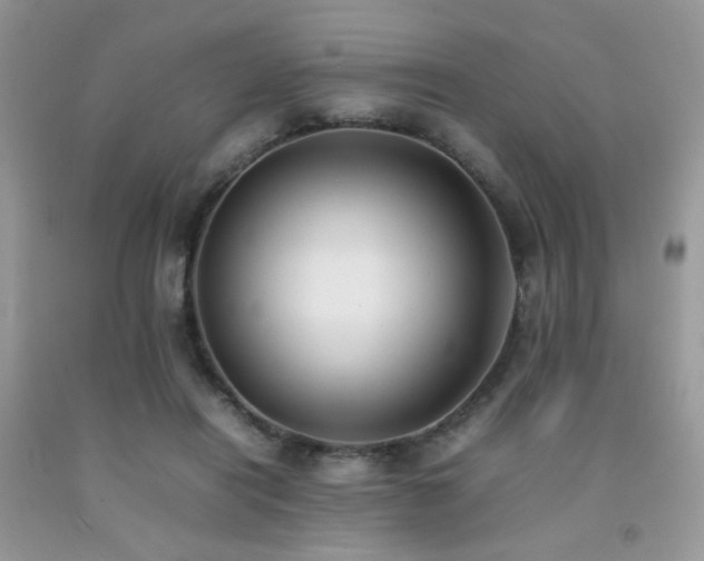 X0000092250454200709141151