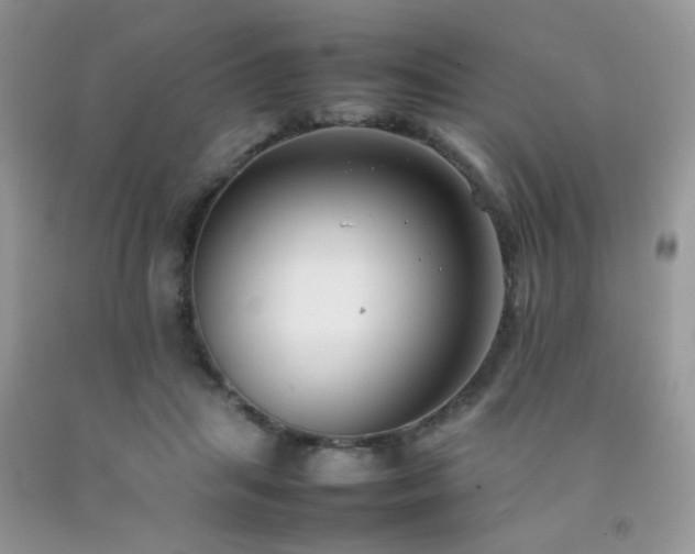 X0000092250455200709141151