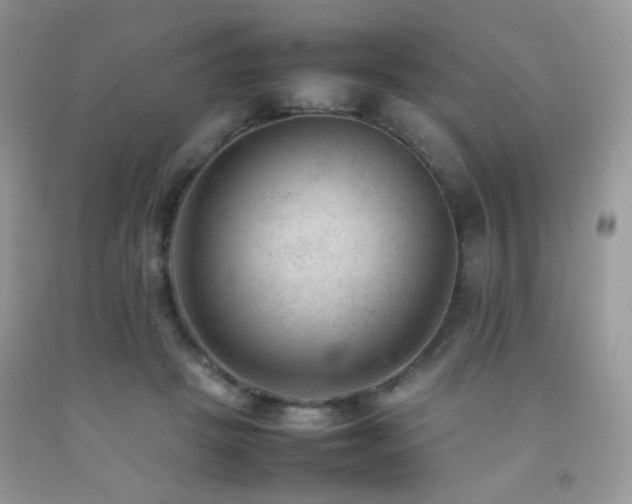 X0000092250457200709141151