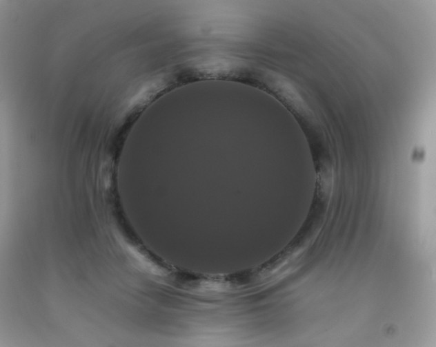 X0000092250458200709141151