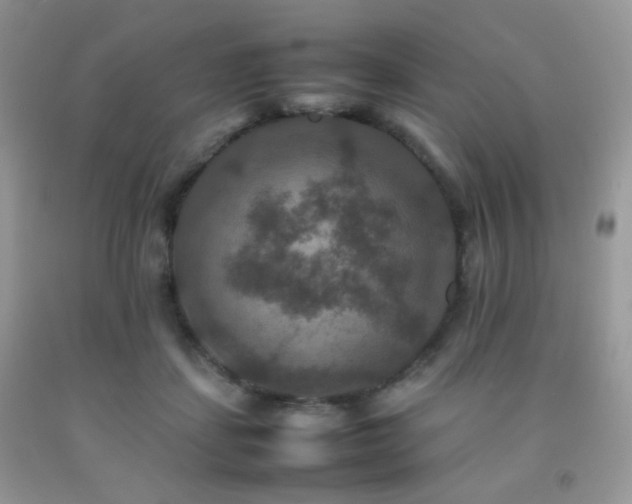 X0000092250459200709141151