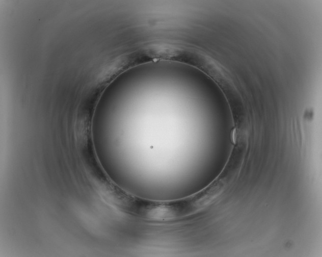 X0000092250460200709141151