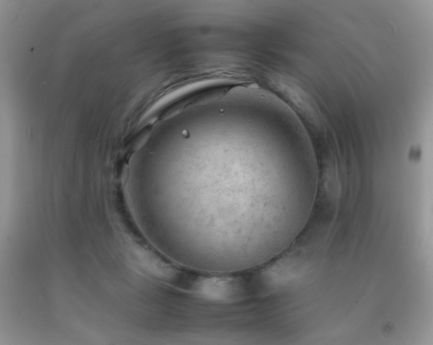 X0000092250461200709141151
