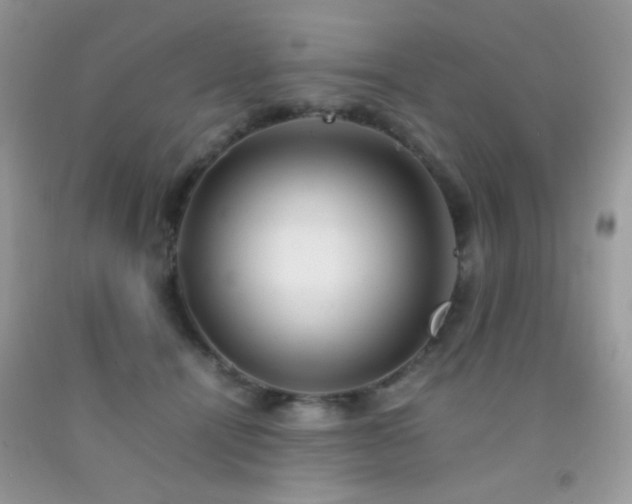 X0000092250464200709141152