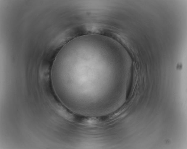 X0000092250466200709141152