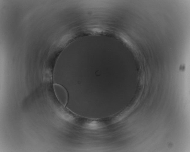 X0000092250467200709141152