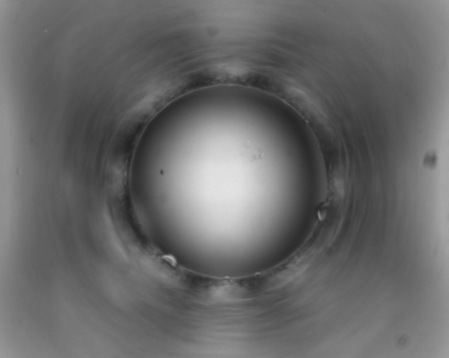 X0000092250468200709141152
