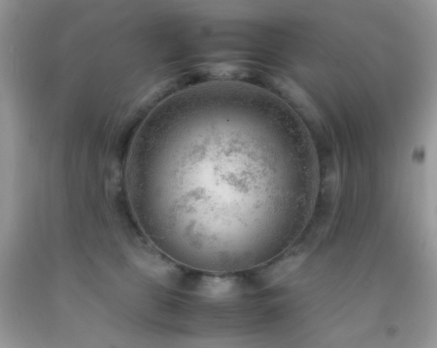 X0000092250469200709141152