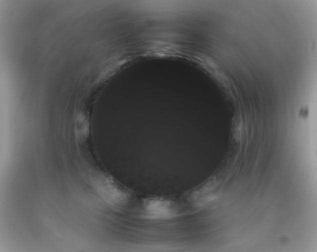 X0000092250471200709141152