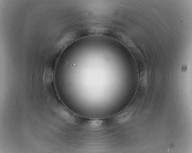 X0000092250474200709141152