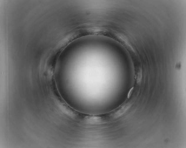 X0000092250476200709141152