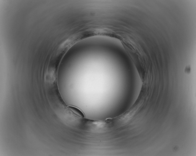 X0000092250478200709141152
