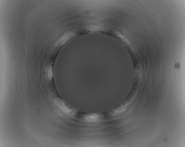 X0000092250479200709141152