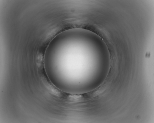 X0000092250480200709141152