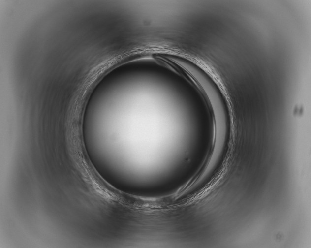 X0000092250481200709141151